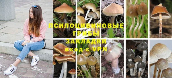 мескалин Армянск